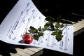 Sheet music with rose piano