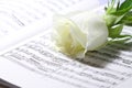 Sheet music white rose B Royalty Free Stock Photo