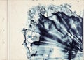 A sheet of old vintage paper stained with blot of blue watercolor paint. Fine grunge artistic background for creative design. Scan