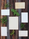 Sheet of paper for the message and fresh branches of herb