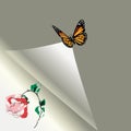 Sheet of paper with a rose and the butterfly Royalty Free Stock Photo