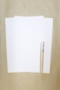 Sheet of white paper and artistic brushes on a crafting background