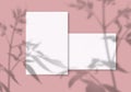 A sheet of white paper on a pink background. Mockup with overlay of plant shadows . Natural light casts the shadow of field plants