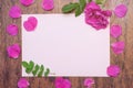 Sheet of white paper with rosehip flower and its petals on a wooden table Royalty Free Stock Photo