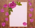 Sheet of white paper with rosehip flower and its petals on a wooden table Royalty Free Stock Photo