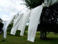 Sheets on the clothes line