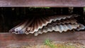 Sheets Of Iron And Timber Thrown Under An Old Disused Building