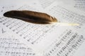 Feather and music sheets Royalty Free Stock Photo