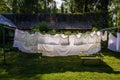 Air drying in garden Royalty Free Stock Photo