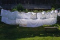 Air drying in garden Royalty Free Stock Photo