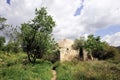 Sheikh Badr mosque ruins, Israel Royalty Free Stock Photo