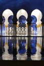 Sheikh Zayed Mosque in Abu Dhabi lateral night view