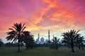 Sheikh Zayed Mosque Royalty Free Stock Photo