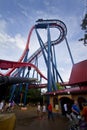 SheiKra Roller Coaster Royalty Free Stock Photo