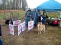 Foodstock 2011 brought thousands of people to protest the conversion of agricultural land into a quarry.