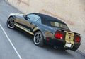 Shelby mustang Royalty Free Stock Photo