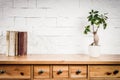 Shelf with books and flower and white wall Royalty Free Stock Photo