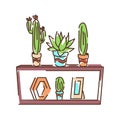 Shelf with cactus color line icon. Standing furniture with horizontal shelves, used to store books, plants, decorations