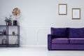 Shelf and couch Royalty Free Stock Photo