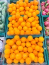 Shelf with Fresh fruits in supermarket Healthy food concept. Royalty Free Stock Photo