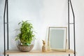 Shelf with green lucky bamboo in glass bowl and decor