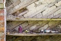 Shelf with old things in a ruined wooden house in an abandoned village Royalty Free Stock Photo