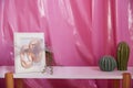 shelf with vases of cacti and a picture of baby pink ballerina booties.