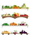 Shelf with vegetables. Assorted fresh vegetables. Farmers marker, grocery store, zero waste shop. Local market food