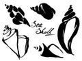 Vintage ink drawn sea shell set Royalty Free Stock Photo