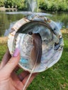 Shell abalone with Feather. Me Holding it in the Wind near the Water and Fountain of Happiness