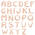 Shell alphabet
