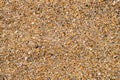 Shell beach, broken shells and pebbles on a sandy beach. Top view, summer nautical background or advertising banner Royalty Free Stock Photo