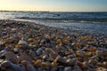 Shell beach by the sea on the Baltic Sea. Sunset, groynes in the background. Coast