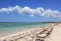 Shell beach in Shark Bay Royalty Free Stock Photo