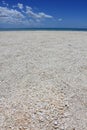 Shell beach in Shark Bay Royalty Free Stock Photo