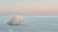 A shell on the beach at sunset with a pink sky, AI Royalty Free Stock Photo