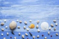 Shells on blue wood, summer background Royalty Free Stock Photo
