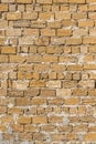 Shell brick wall texture stone background, building limestone facade