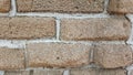 bricks made from shells and used in old building