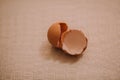 The shell of a beige egg, lying on the kitchen table.