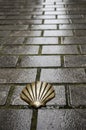 Shell Camino Santiago ground Royalty Free Stock Photo