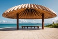 Shell and clamshell canopy with brackets and beautiful shape, modern building materials, unconventional shape,