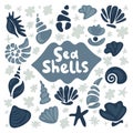 Shell collection - vector cartoon silhouette illustration. Set of various blue and grey sea shells and starfish