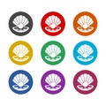 Shell color icon set isolated on white background Royalty Free Stock Photo
