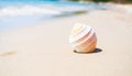 Shell Conch See Beach Summer Background, Seashell on Sand Blue Ocean with Sunshine, Space Shore Water with Sun Day Sky Tropical, Royalty Free Stock Photo