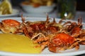Shell crabs and cornmeal mush, background