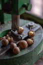 Shell cracker for cracking macadamia, open macadamia nut Royalty Free Stock Photo