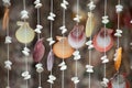 Shell curtain . Royalty Free Stock Photo