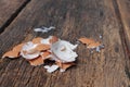 Shell of the egg on wooden table background Royalty Free Stock Photo