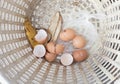 Shell eggs in the basket Royalty Free Stock Photo